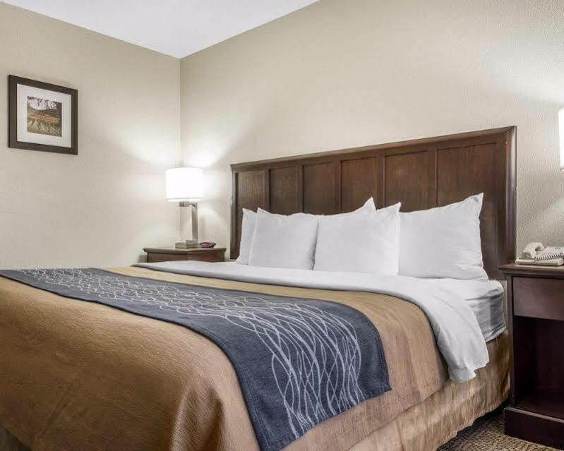 Comfort Inn Fairfield Napa Valley Area Cordelia Buitenkant foto